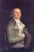 Francisco de Goya Retrato del doctor Peral oil painting reproduction